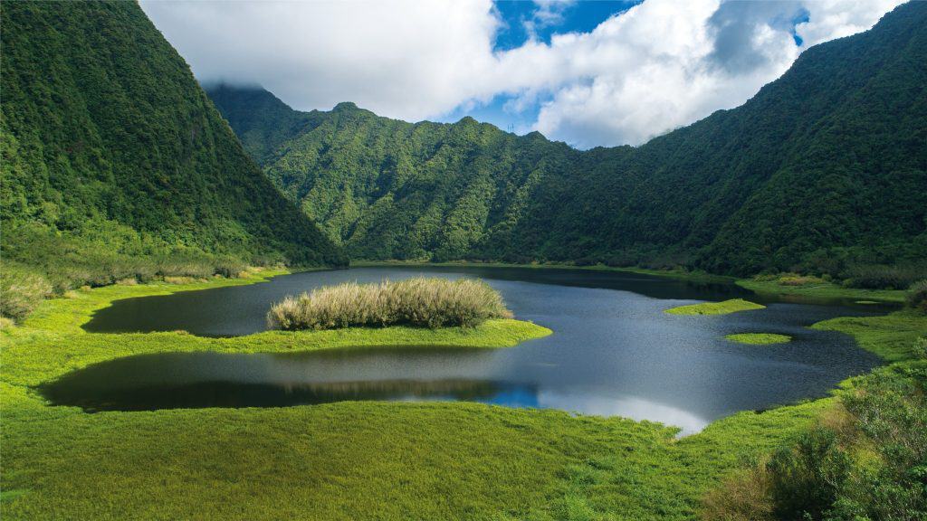 Grand Etang - Sức hút của Grenada với những địa danh độc đáo và tuyệt đẹp