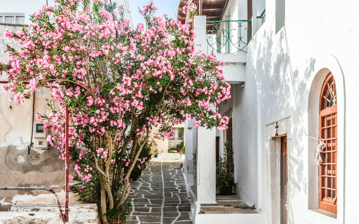 Mykonos
