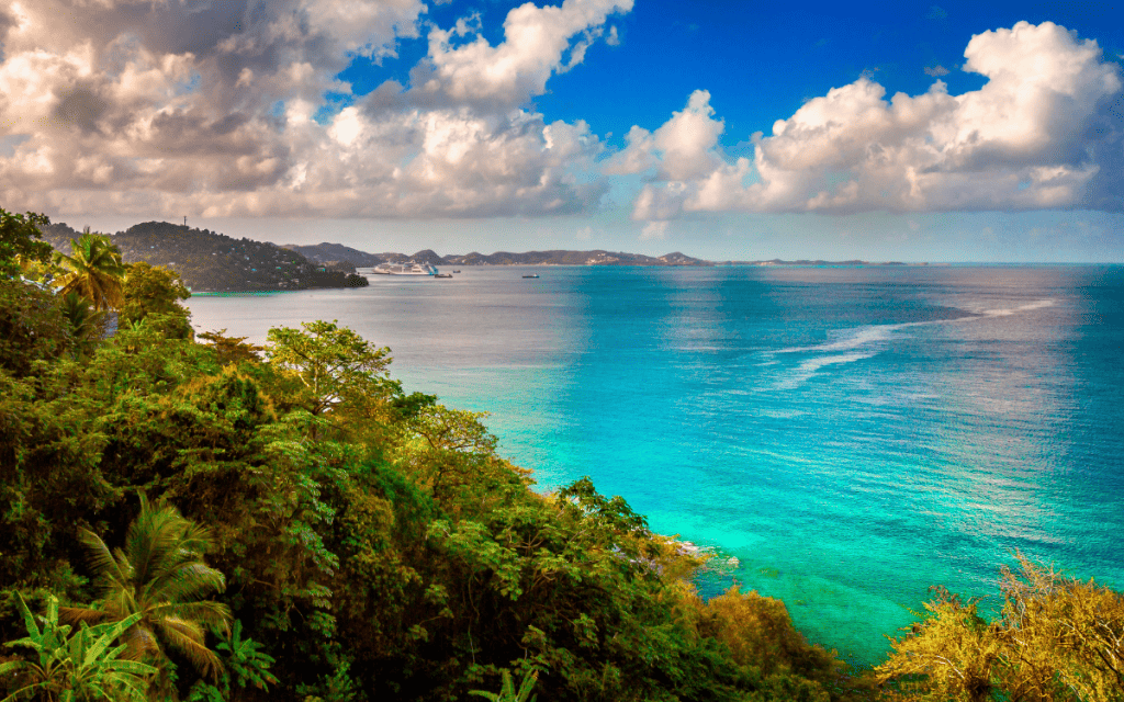 Sự khác biệt giữa các chương trình quốc tịch Caribe