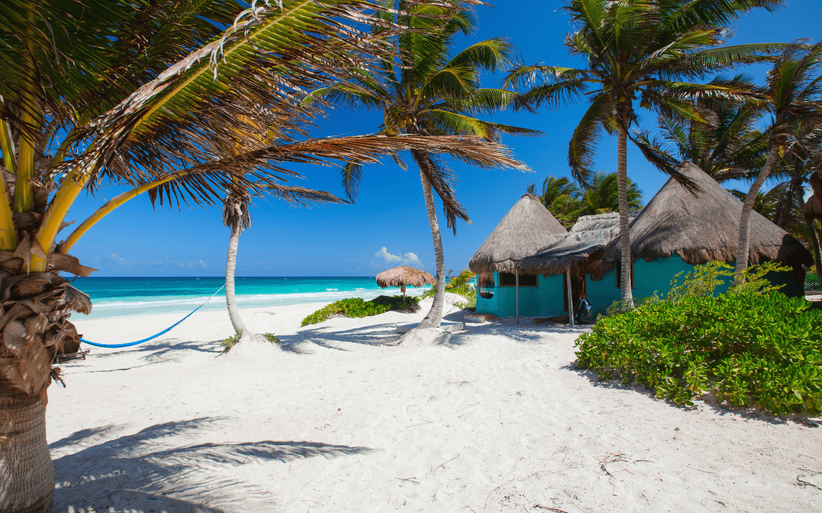 Đầu tư nhập tịch Caribbean: 5 thủ tục cần chuẩn bị