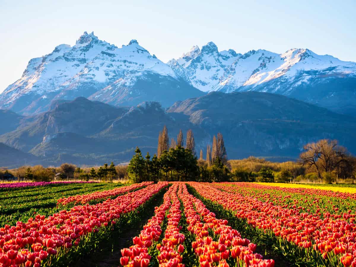 Argentina Approves Citizenship by Investment Program – Passport Could Soon Gain US Visa Waiver Argentina Approves Citizenship by Investment Program – Passport Could Soon Gain US Visa Waiver